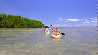 couple kayaking on clear ocean sunny day by tropical island