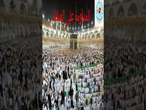 10 فوائد صحية مذهلة للصلاة كيف تعود الصلاة على صحة المسلم الصلاة دواء الروح والجسد