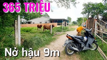 Bán đất giá rẻ nở hậu 365 triệu đường ô tô cách đường nhựa 100m gần 3 trường học ở Bến Cầu Tây Ninh