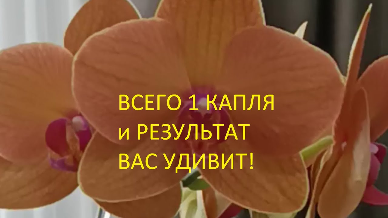 ВСЕГО 1💧капля и РЕЗУЛЬТАТ ВАС УДИВИТ!