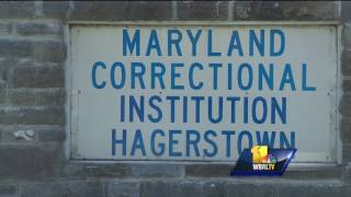 Video: Service dogs offer veterans, inmates second chance
