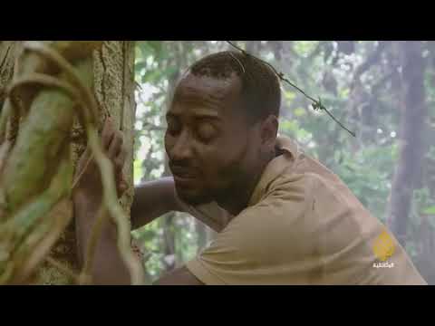 فيلم وثائقي عن اسياد تربيه النحل في البراري