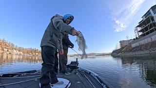 Lake of the Ozarks AIA Practice