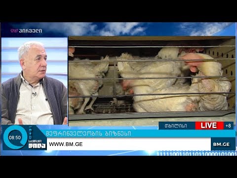 მეფრინველეობის ბიზნესი