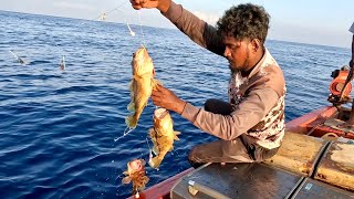 Handline Fishing at 250 Feet Deep for Rosy Snapper Catching