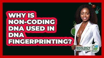 Why Is Non-coding DNA Used In DNA Fingerprinting? - Biology For Everyone