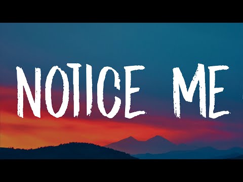 SZA - Notice Me (Lyrics)