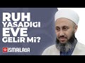 Ölen Kişinin Ruhu Yaşadığı Evine Gelir mi? - Fatih Kalender Hoca Efendi