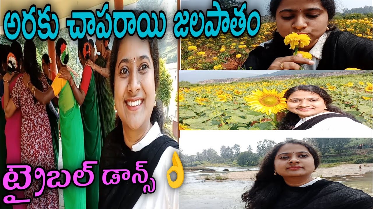 Araku chaparayi waterfalls/ tribal dance / bongu biryani / sunflowers