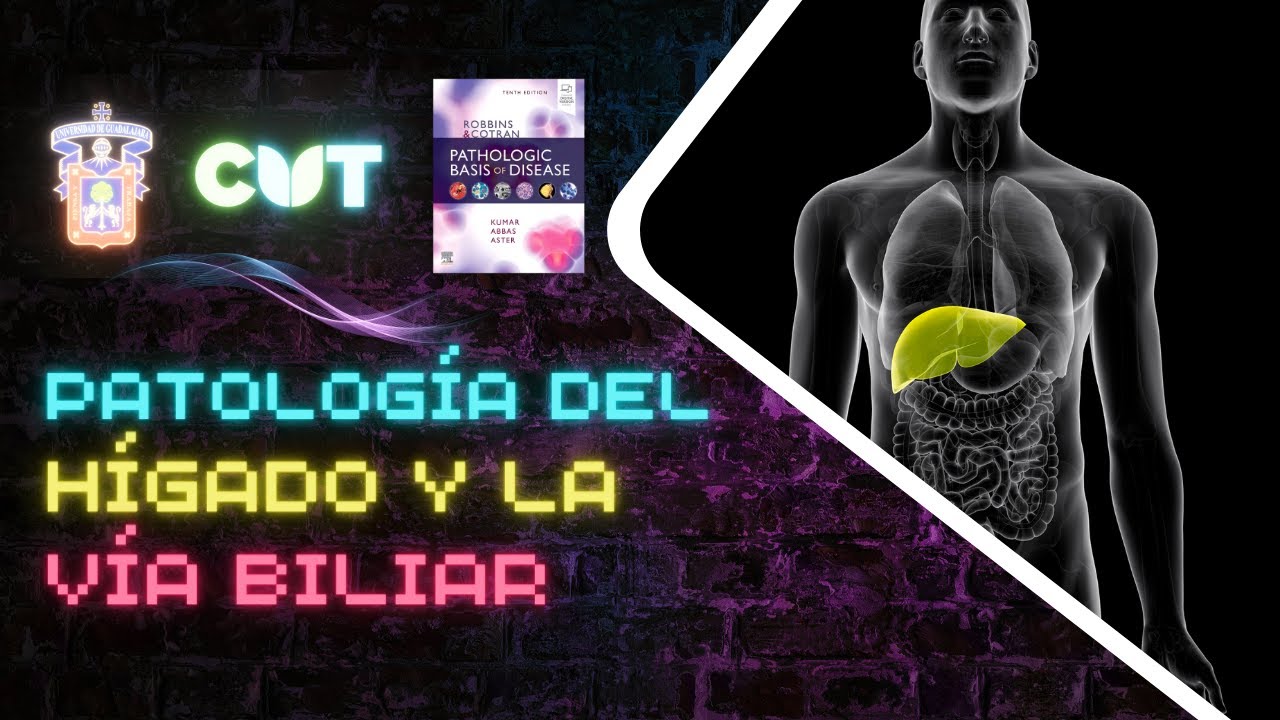 Emisión en directo - Patología del hígado y la vía biliar -  Curso 2023A