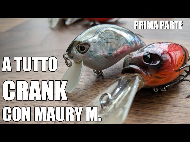 Crankbait Esche Pesca wLure Stretto Mobile Lento Galleggiante