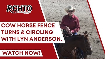 Cow Horse Fence Turns & Circling With Lyn Anderson.