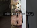 らてマツと申します‼️‼️‼️‼️