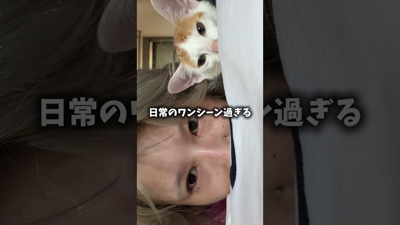 らてマツと申します‼️‼️‼️‼️