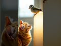 Nacho &amp; the Little Bird – A Tale of Kindness 🐾🐦