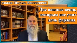 Главный раввин Шмуэль Каминецкий о двух важных вещах, которым нас учит история с дочерью фараона