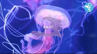 Haiti: MUSICA MANTRISTA DE Terapia Sensorial para alinear con Venus