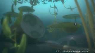 Kodee's Canoe - Tadpole screenshot 4