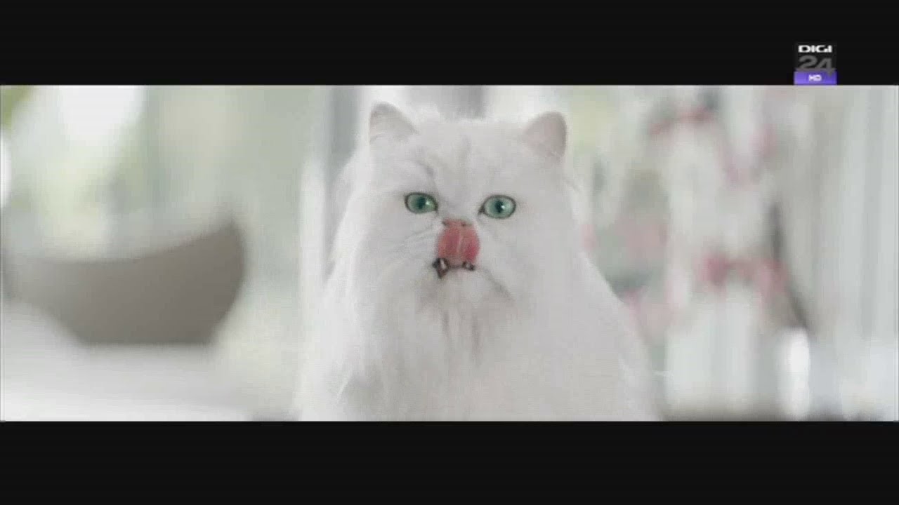 Reclama Purina Gourmet