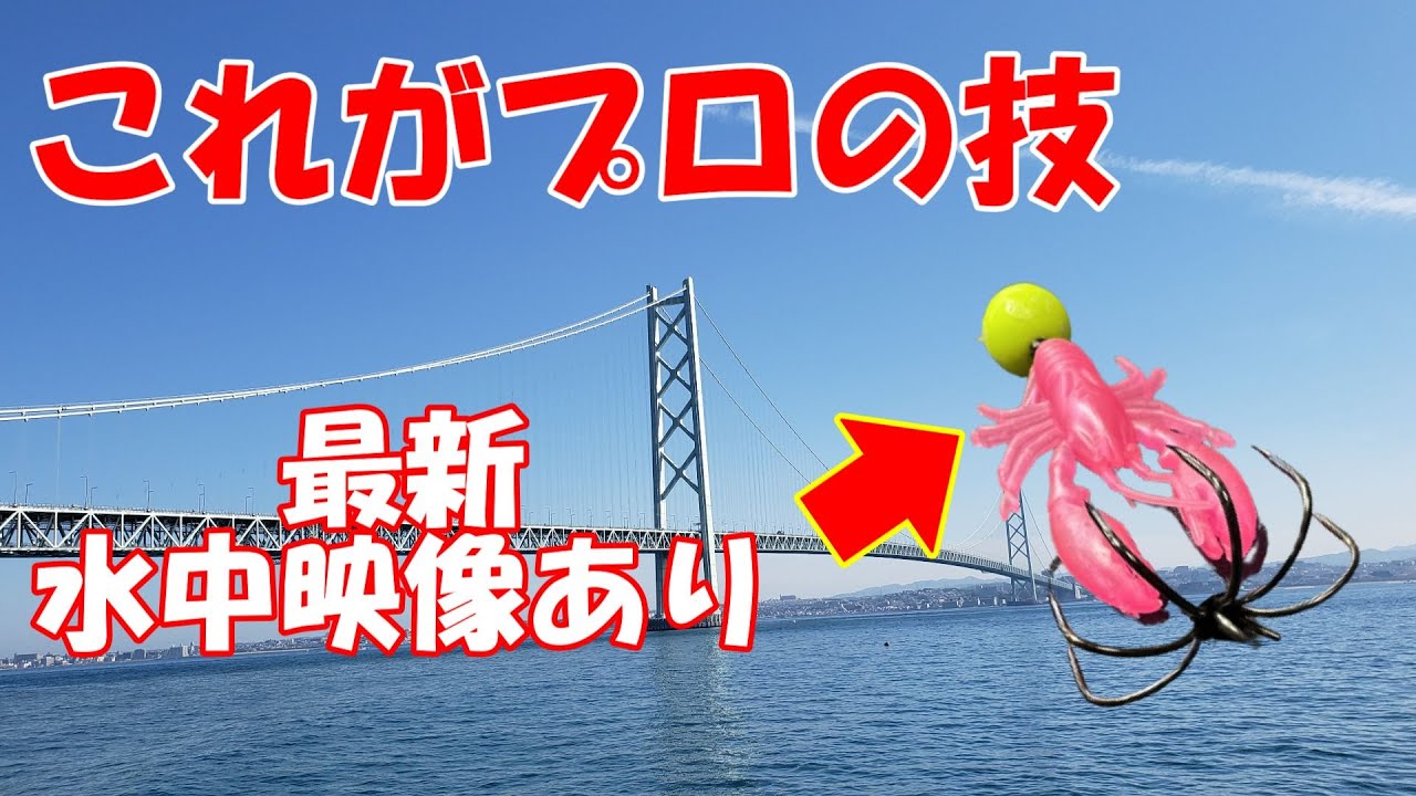 超貴重！タコ釣り凄腕社長による『船タコ釣り講習釣行会』＆タコルアー水中映像！