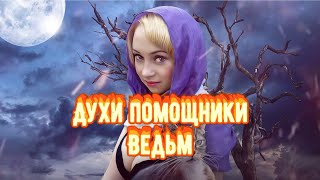 Духи - помощники ВЕДЬМ. ФАМИЛЬЯРЫ и ФЕТЧИ. Как призвать Духа - помощника ?Черная магия . Колдовство.