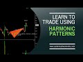 TRADING USING HARMONIC PATTERNS | STRATEGY | SPIDER SOFTWARE