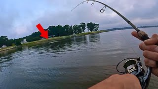 Incredible Multi-Species Inshore Fishing! Insane Night Bite!