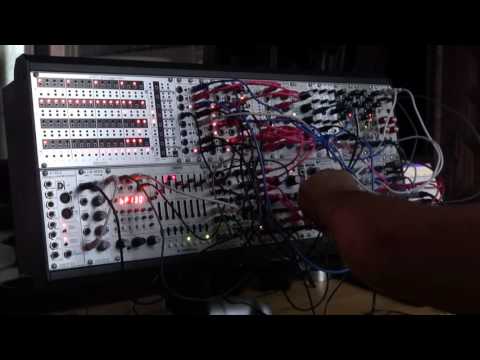 Mutable Instruments Rings (madness)