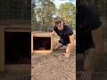 I didn’t know they swim like that #capybara #animals #mysterybox #foryou