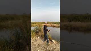 Mancing Gayd Resimi