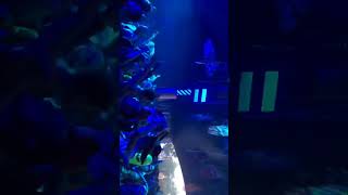 DJ PAY ME GERMANY VLOG #shorts #vlog #berlin #djpayme #frankfurt #fyp #germany #viral