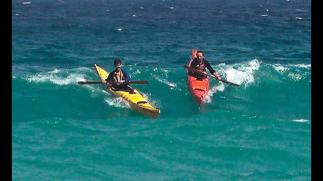 2 DELPHINS on the WaVeS (03-07-14)