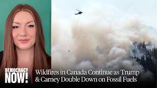 Nearly 1,000 Wildfires in Canada Continue to Burn as Trump & Carney Double Down on Fossil Fuels