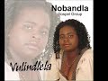 nobandla ngubani na