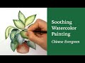 Soothing Watercolor Painting Process: Houseplant Chinese Evergreen