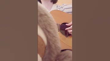Thumbnail of 恋風- 幾田りらさん　弾き語りカバー