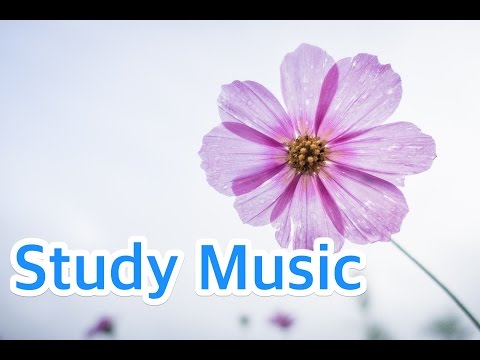 1 HOUR of World&amp;#39;s Most Breathtaking Piano Pieces / Study Music for concentration