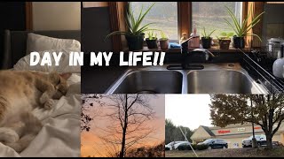 VLOGMAS - Day in my Life Working with Wayfair Working Out and a Good Dinner