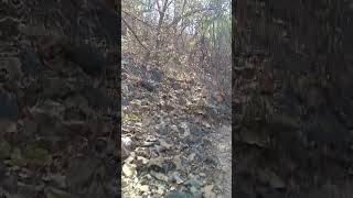 Like Ka Funda Tiktok Video Tik Tok