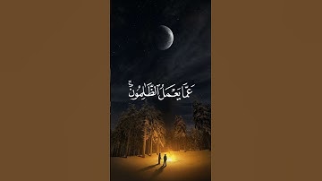 سورة إبراهيم بصوت عبد الرحمان مسعد