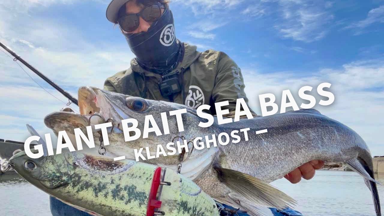 港でも川でもジャイアントベイト！【シーバス】