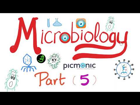 Picmonic Microbiology (Part 5) | Bacillus anthracis, Bacillus cereus, Mycobacteria