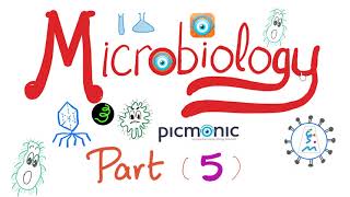 Microbiology - Bacillus anthracis, Bacillus cereus, Mycobacteria (TB, Leprosy) - Picmonic - Part 5