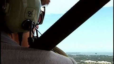 Tar Balls Galore on Alabama Beaches