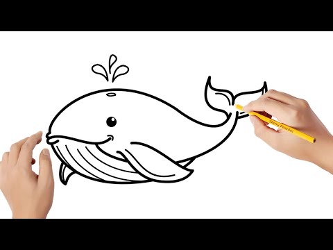 Vídeo: Como Desenhar Baleias