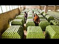 How to Produce Millions of Olive Soap Bar in Traditional Soap Factory - Olive Harvest and Processing