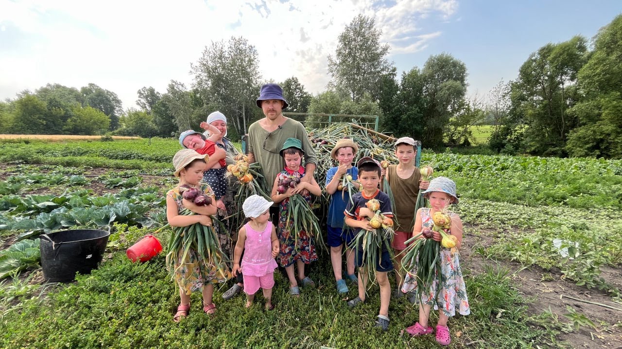 Собрали огромный урожай лука всей семьей! Это хватит на весь год!