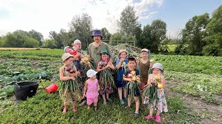 картинка: Собрали огромный урожай лука всей семьей! Это хватит на весь год!