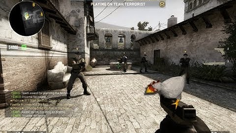 CS:GO - This bot really hates chickens