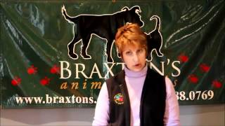Main Philadelphia Pet Pros Cindy Baker